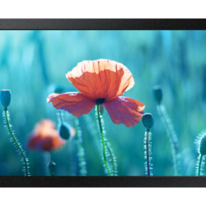 Samsung QB13R-M 13"