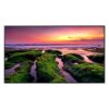 Monitor Smart Signage 75" Samsung QB75B