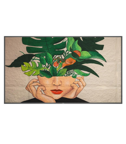 Philips D-Line Professional FHD 55BDL4511D/00 55" - Imagen 3