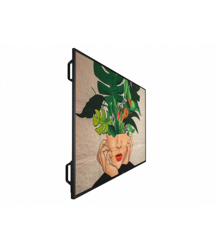 Philips D-Line Professional FHD 55BDL4511D/00 55" - Imagen 7