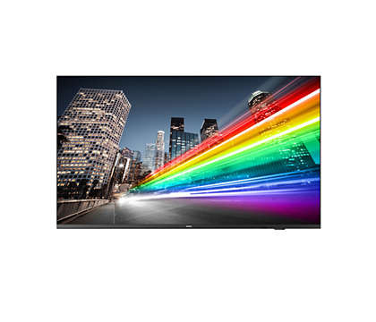 MONITOR PHILIPS B-LINE 50" 4K  / 50BFL2214/12