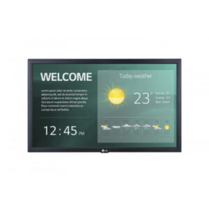 Monitor Profesional LG 22" 22SM3G-B