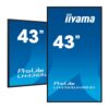iiyama ProLite LH4365UHSB-B1 – Monitor profesional 43"