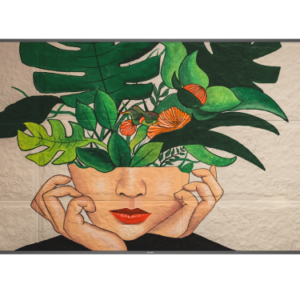 MONITOR PHILIPS 75" D-LINE / PANEL IPS 8BIT D-LED 16:9 / 3840X2160 500CD/M2 / 8 MS / PIXEL PITCH 0.4296 X 0.4296 / VESA 600X400/M8 / SOC MS - 92Q / USO LANDSCAPE / PORTRAIT / OPS SI / WIFI NO / 1XRJ45 (75BDL4511D/00)