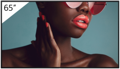 Sony FW-65BZ40L pantalla de señalización Pantalla plana para señalización digital 165,1 cm (65") LCD Wifi 700 cd / m² 4K Ultra HD Negro Android 24/7
